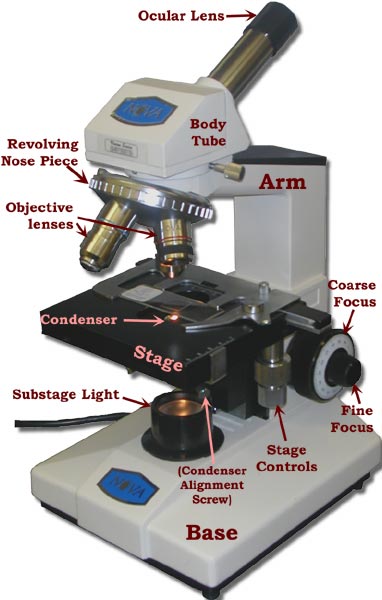 Microscope-left side