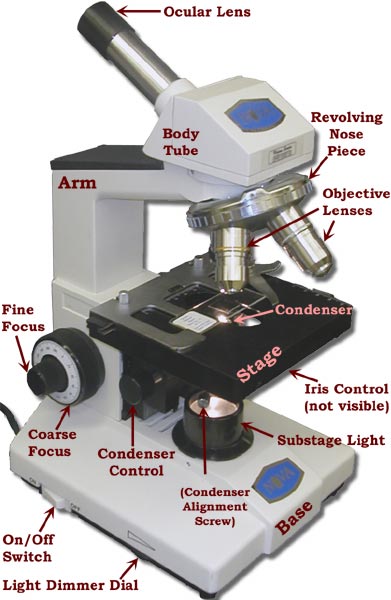 Microscope-Right side